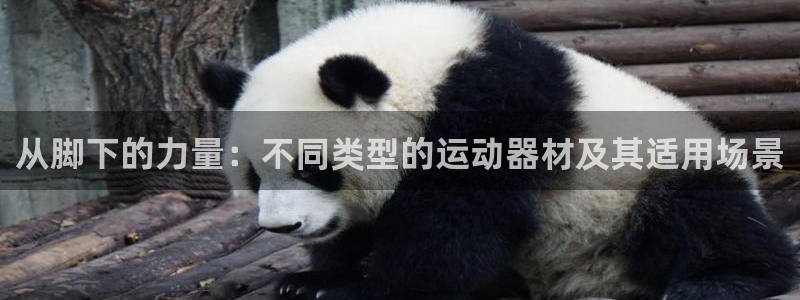 fb体育平台注册要钱吗：从脚下的力量：不同类型的运动