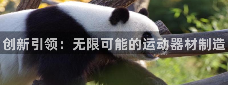 fb体育集团：创新引领：无限可能的运动器材制造