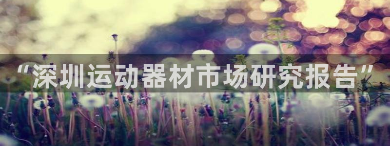 fb平台体育：“深圳运动器材市场研究报告”
