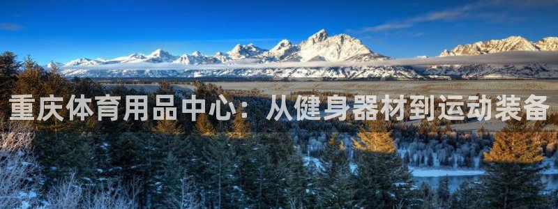 海南fb体育发展怎么样：重庆体育用品中心：从健身器材