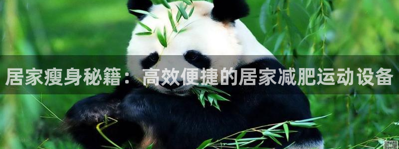 注册fb体育：居家瘦身秘籍：高效便捷的居家减肥运动设