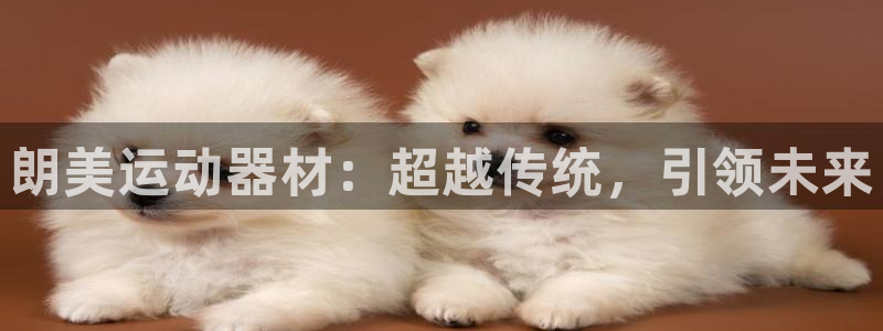 fb体育开户：朗美运动器材：超越传统，引领未来