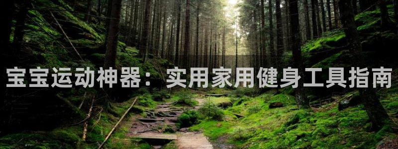 fb体育娱乐：宝宝运动神器：实用家用健身工具指南