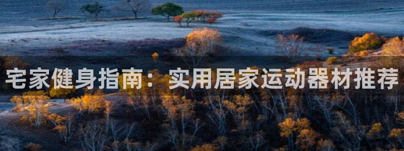 fb体育官网：宅家健身指南：实用居家运动器材推荐