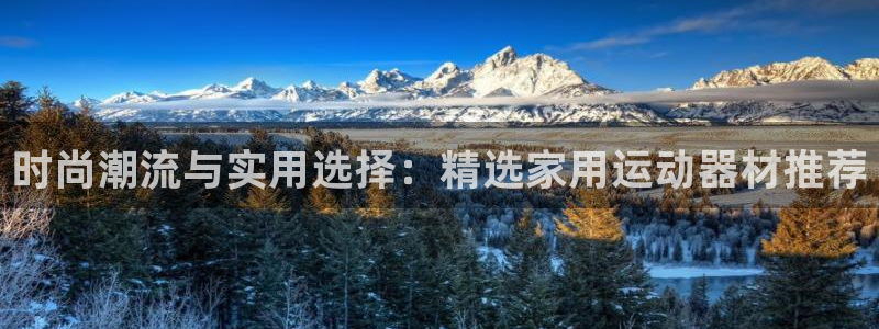 fb体育五金厂：时尚潮流与实用选择：精选家用运动器材