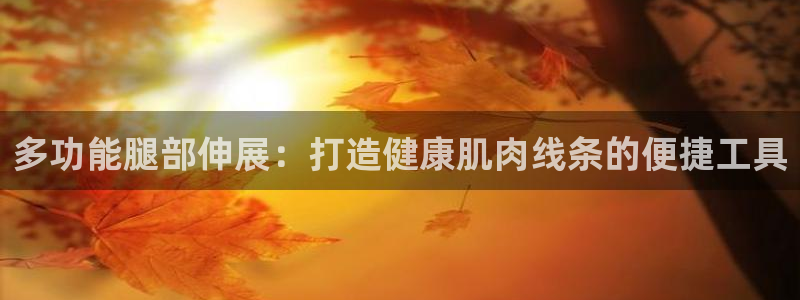 fb体育平台假的吗是真的吗：多功能腿部伸展：打造健康
