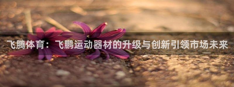 fb体育娱乐：飞腾体育：飞鹏运动器材的升级与创新引领