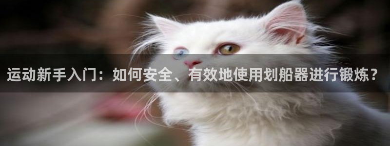 fb体育娱乐代理怎么样：运动新手入门：如何安全、有效地使用划