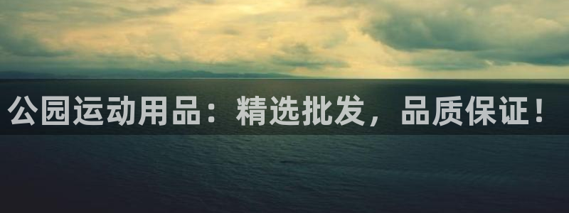 fb体育娱乐是那个系列的台子：公园运动用品：精选批发