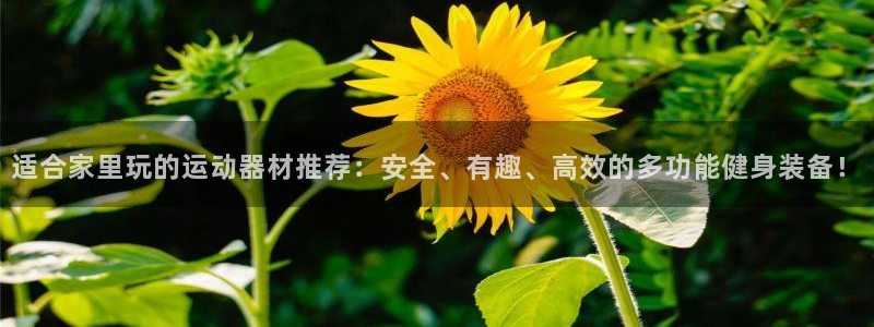 fb体育集团官网首页网址：适合家里玩的运动器材推荐：