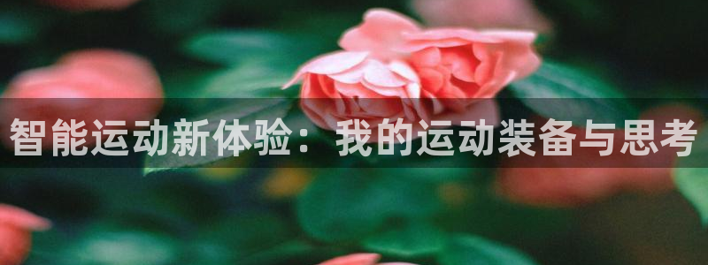 fb体育娱乐是那个系列的台子