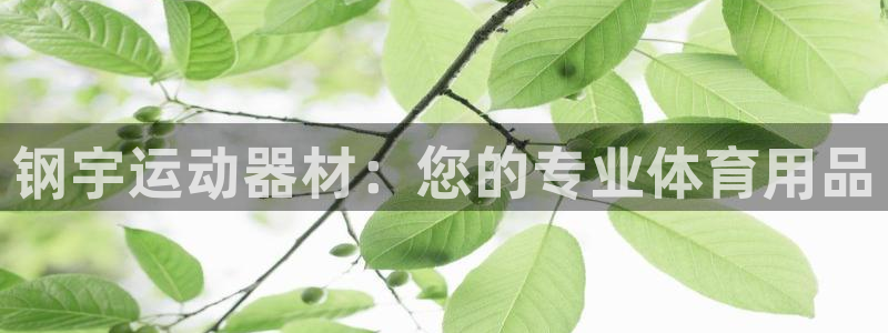 fb体育娱乐40996：钢宇运动器材：您的专业体育用品