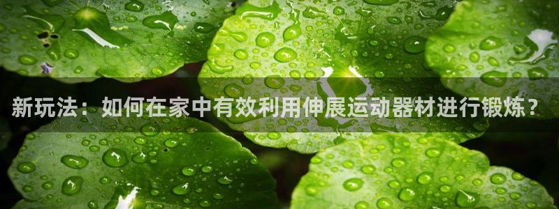 fb体育招商电话号码查询：新玩法：如何在家中有效利用伸展运动