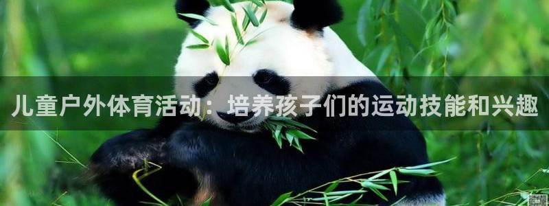 注册fb体育：儿童户外体育活动：培养孩子们的运动技能和兴趣