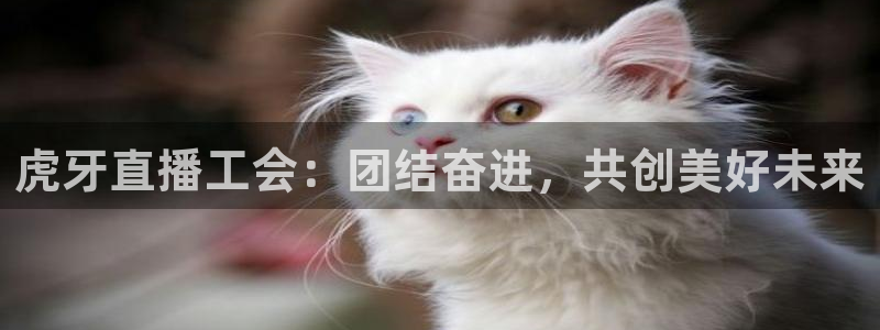 足球直播柠檬体育：虎牙直播工会：团结奋进，共创美好未来