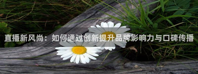篮球比赛直播在线观看柠檬直播：直播新风尚：如何通过创新提升品牌影响力与口碑传播