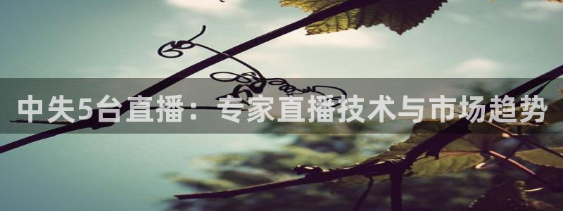足球柠檬直播：中失5台直播：专家直播技术与市场趋势