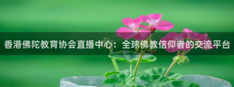 柠檬直播网：香港佛陀教育协会直播中心：全球佛教信仰者的交流平台