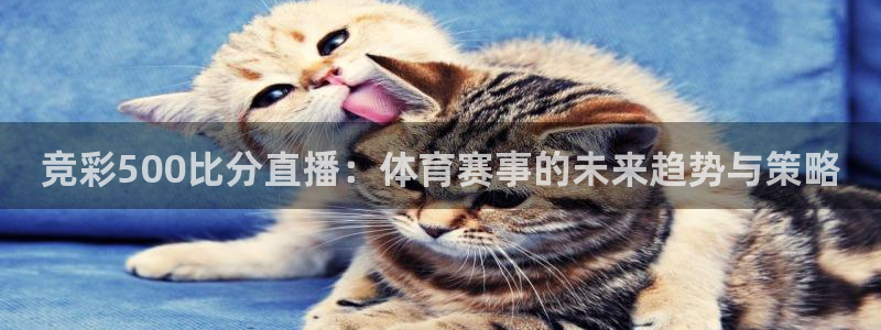 柠檬直播体育篮球：竞彩500比分直播：体育赛事的未来趋势与策略