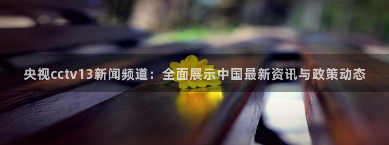 柠檬体育：央视cctv13新闻频道：全面展示中国最新资讯与政策动态