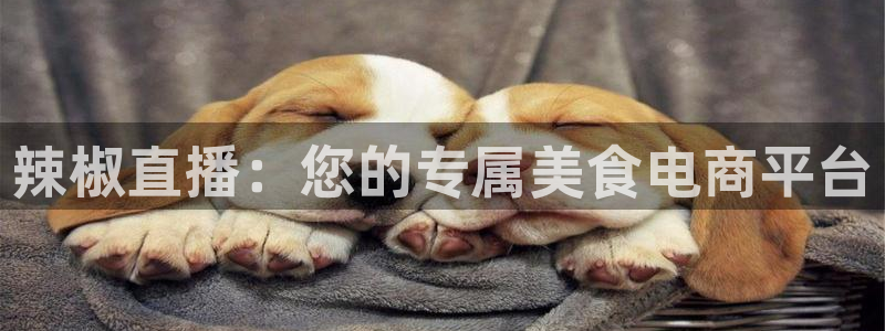 柠檬体育直播篮球：辣椒直播：您的专属美食电商平台